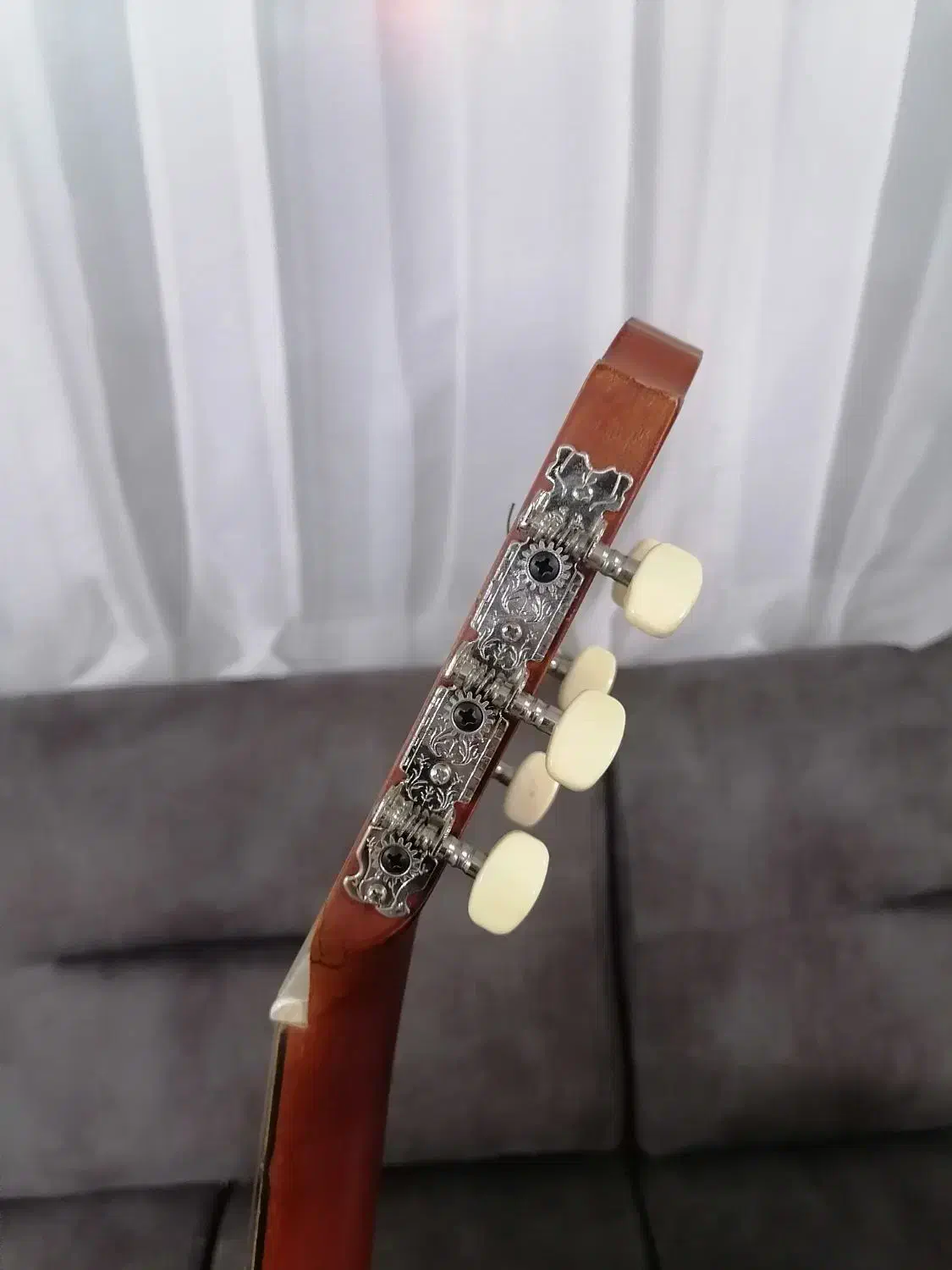 گیتار مبتدی|گیتار، بیس، امپلیفایر|کرمانشاه, |دیوار