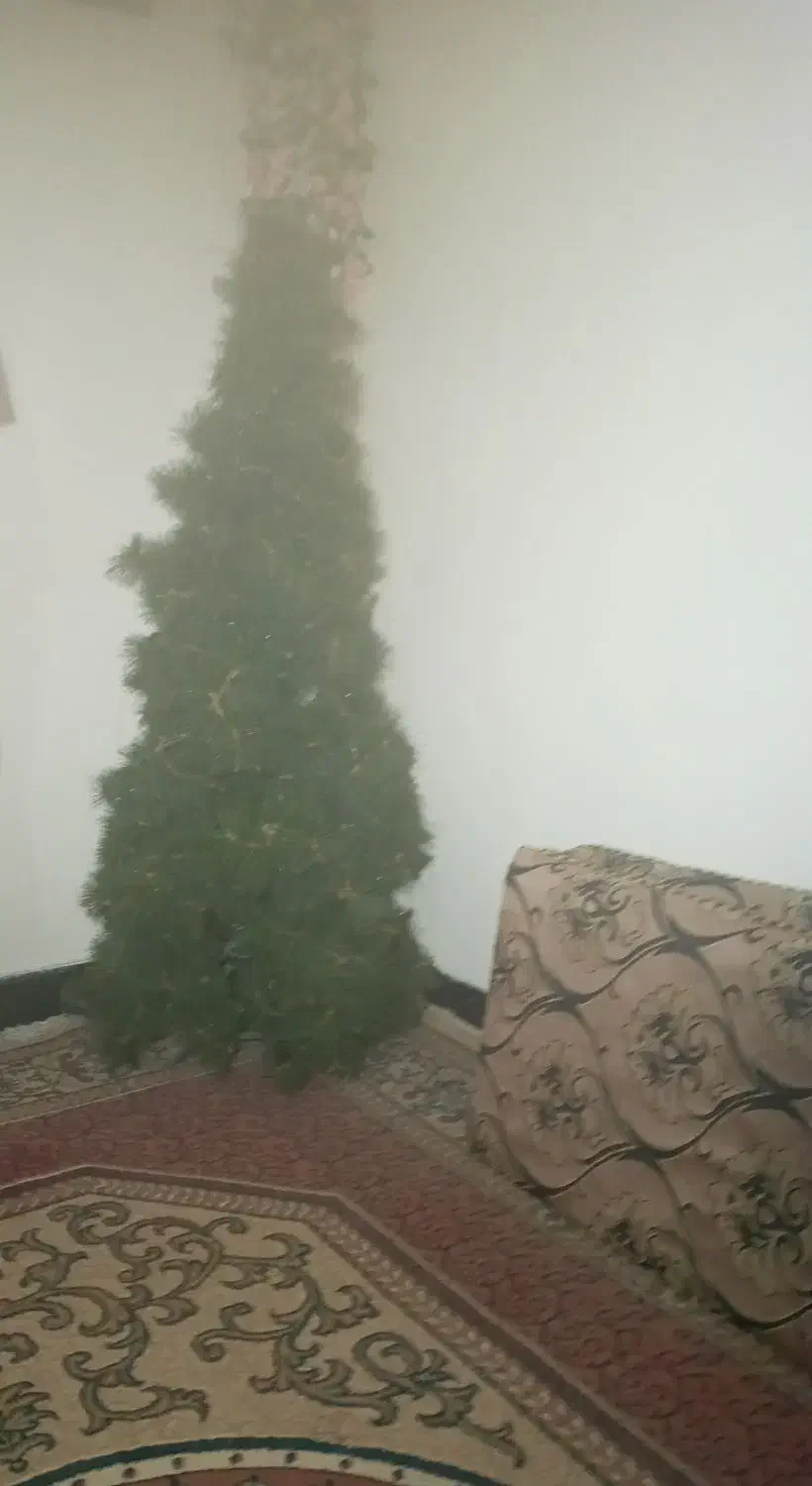 درخت کریسمس مناسب آتلیه خونه و شب یلدا|گل مصنوعی|مسجد سلیمان, |دیوار