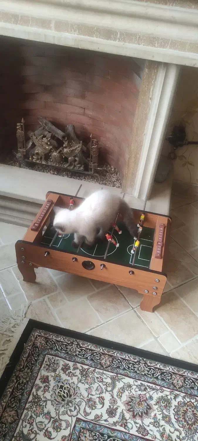 دسته بازی|کنسول، بازی ویدئویی و آنلاین|مشهد, سمزقند|دیوار