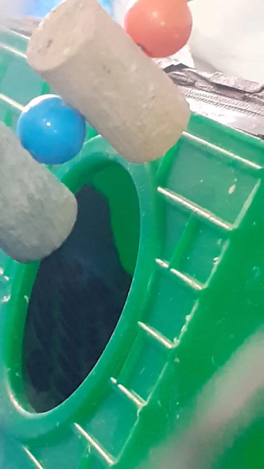 مرغ عشق بهترین رنگ|پرنده|الوند, |دیوار