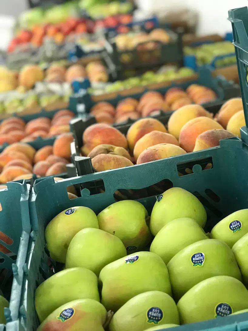 فروشنده میوه فروشی|استخدام خدمات فروشگاه و رستوران|چمستان, |دیوار