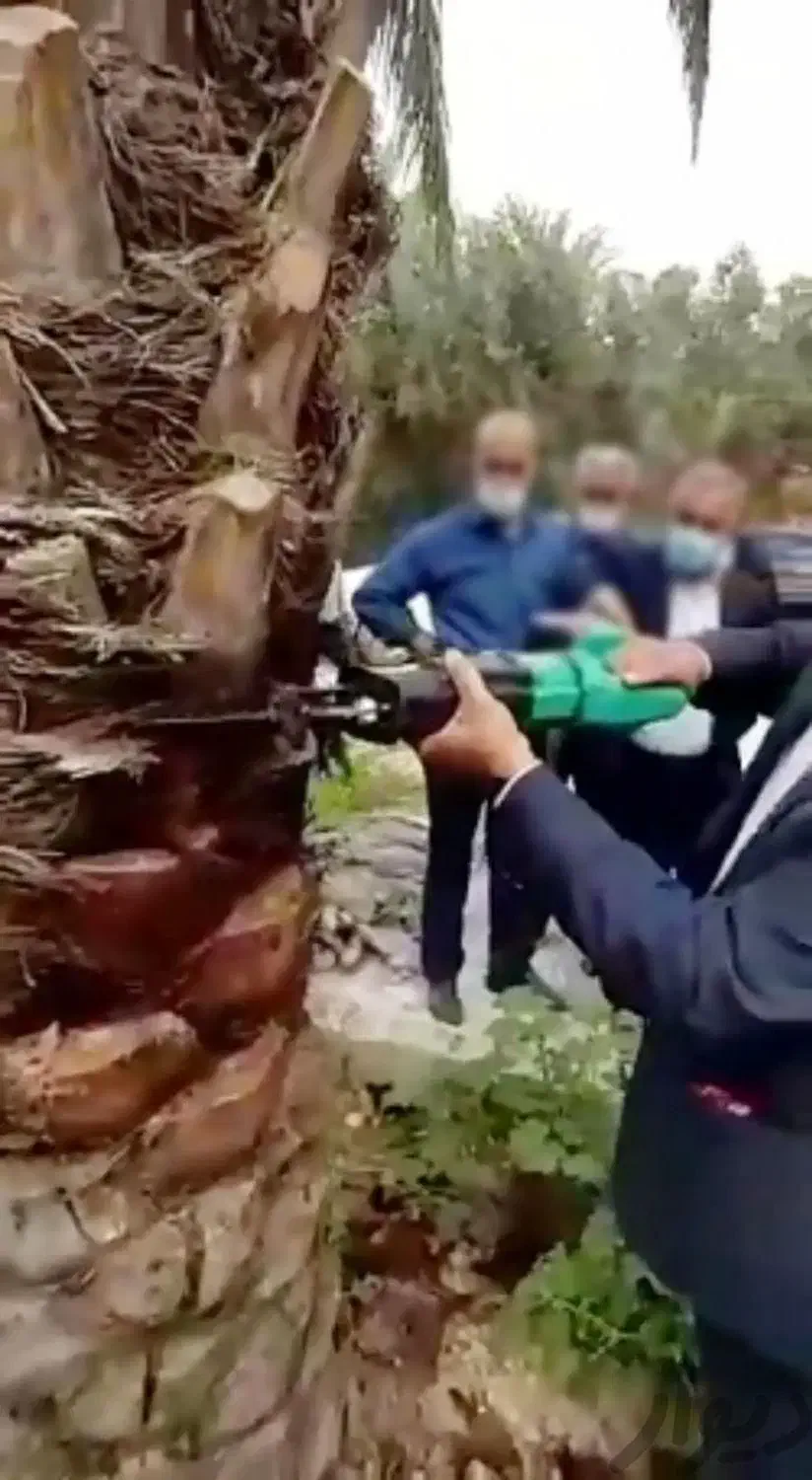 اره درخت گرازی(اقساط ابزارملت کرمان)هرس درخت خرما|ابزارآلات|کرمان, |دیوار