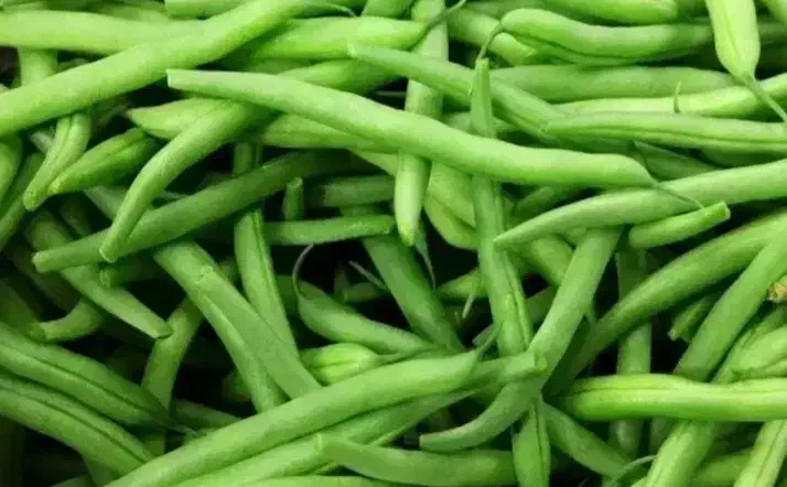 لوبیا سبز|خوردنی و آشامیدنی|ارطه, |دیوار