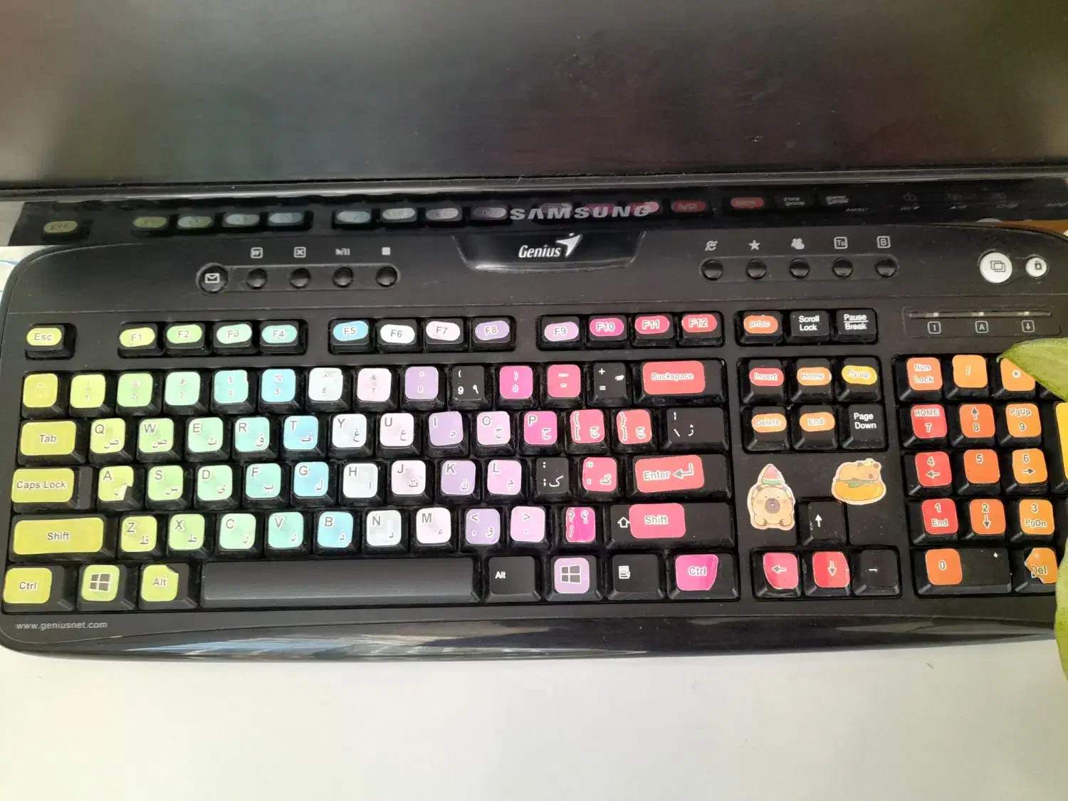 کامپیوتر|رایانه رومیزی|چناران, |دیوار