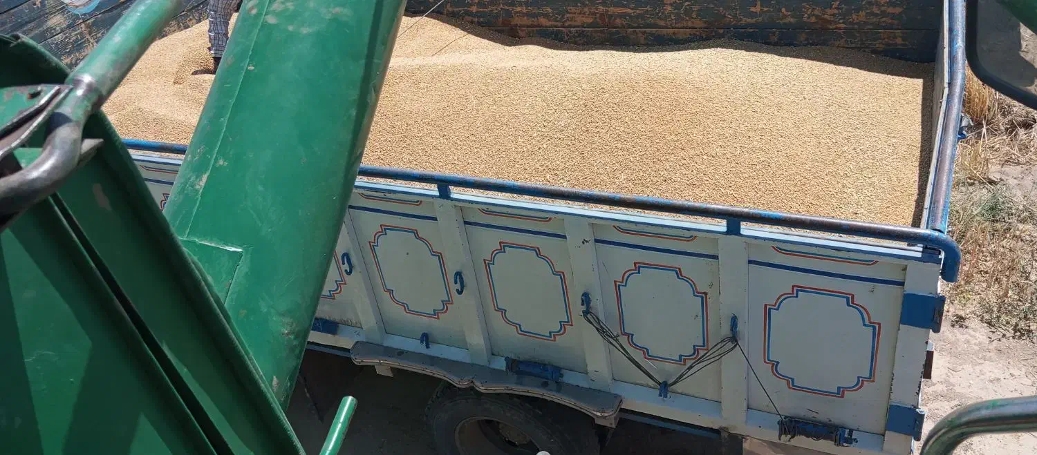 جاندیر کاهکوب مدل 83|خودرو سنگین|رشتخوار, |دیوار