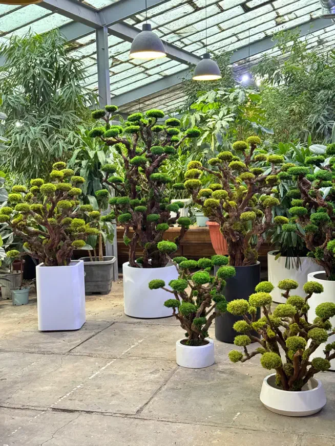 نیروی تولید گیفت های خزه ای|استخدام صنعتی، فنی، مهندسی|تهران, جماران (نیاوران)|دیوار