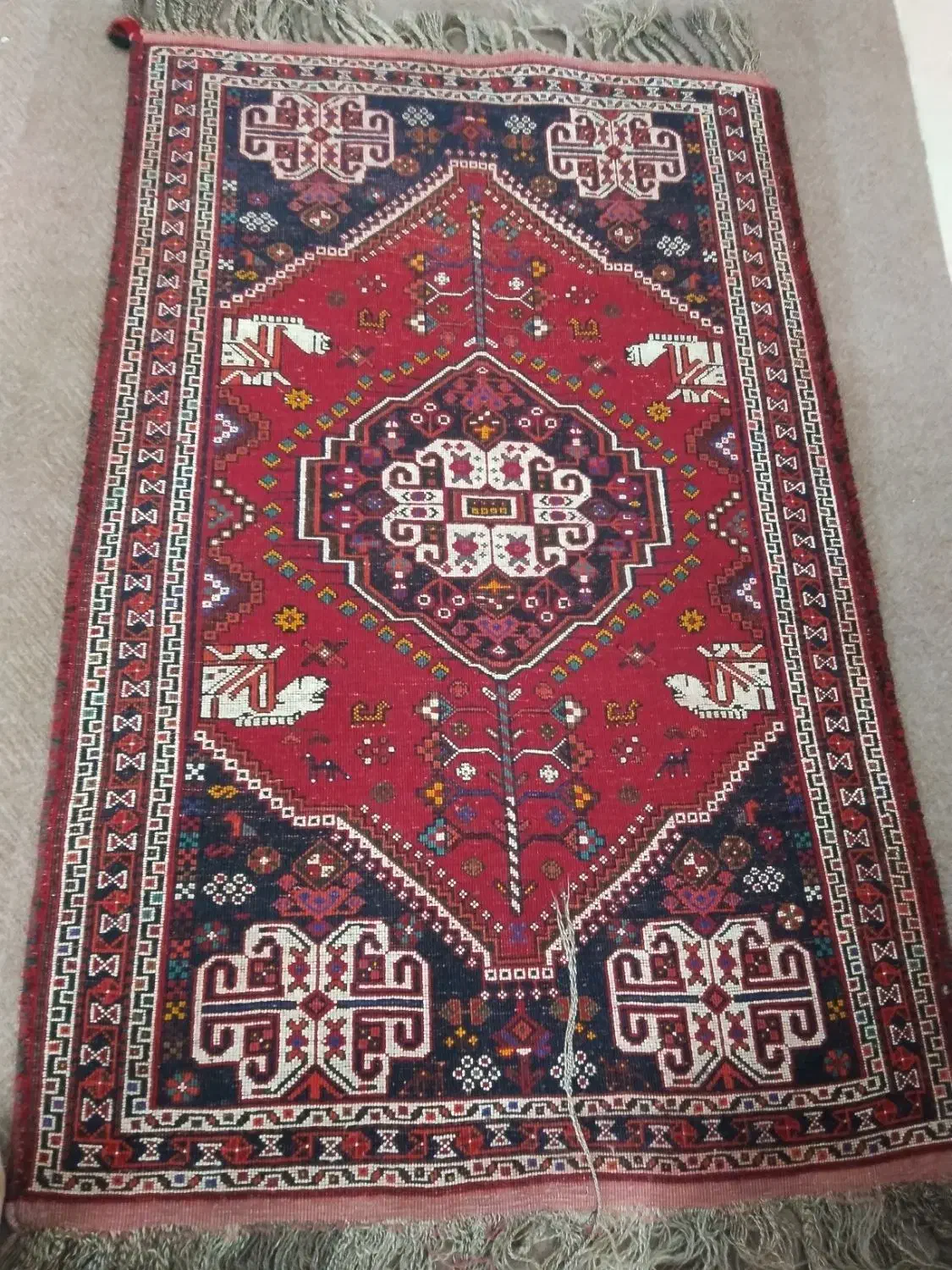 فروش فرش دستباف|فرش|فسا, |دیوار