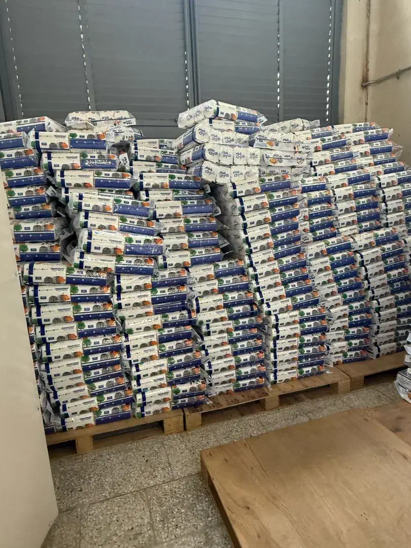 دستمال اقتصادی 500برگ|مواد شوینده و دستمال کاغذی|میاندوآب, |دیوار