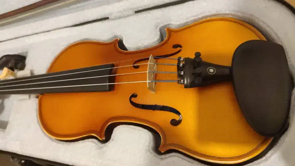 ویالون ۱/۴|ویولن|تهران, تهرانپارس غربی|دیوار