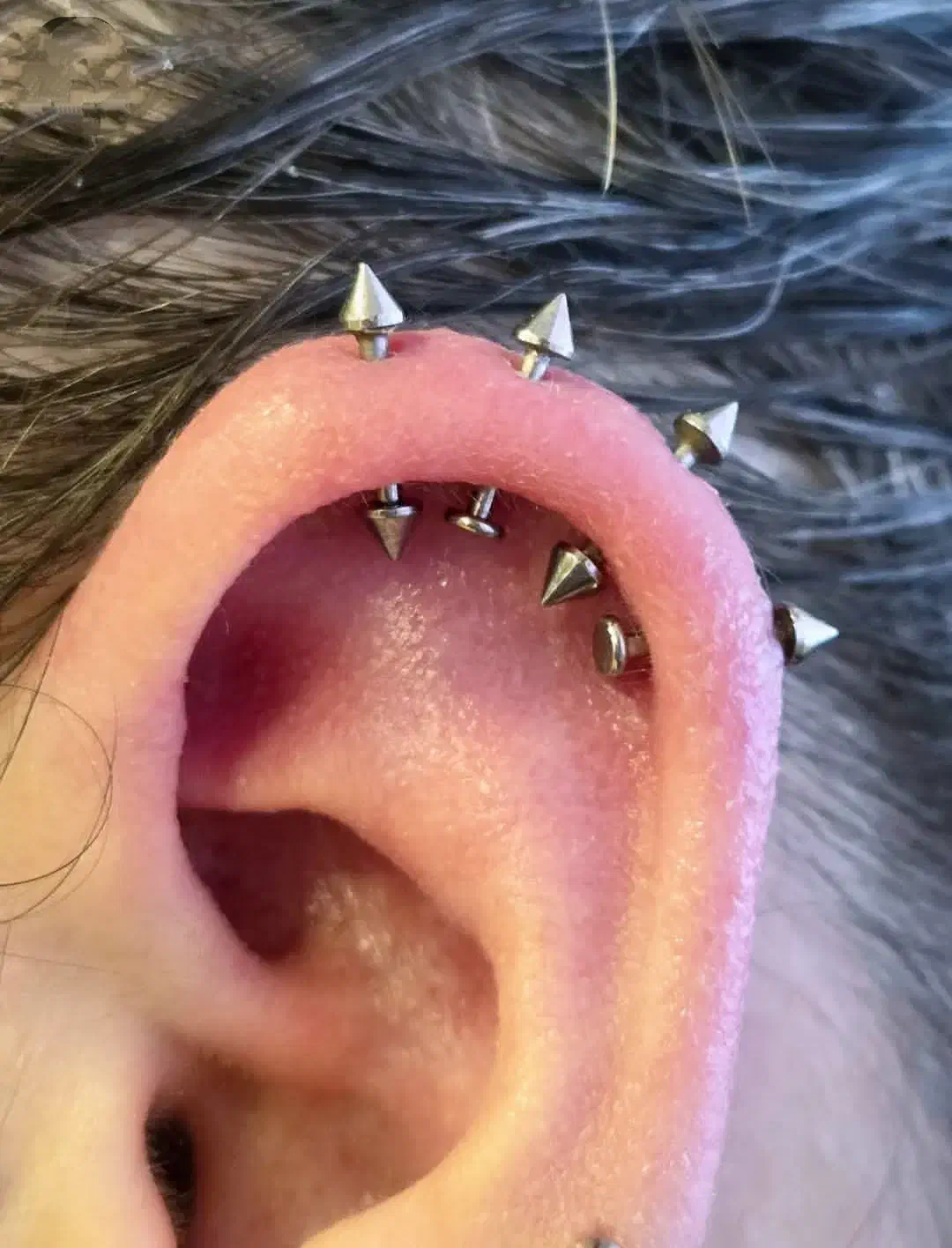 سوراخ کردن گوش و بینی|خدمات آرایشگری و زیبایی|سراوان, |دیوار