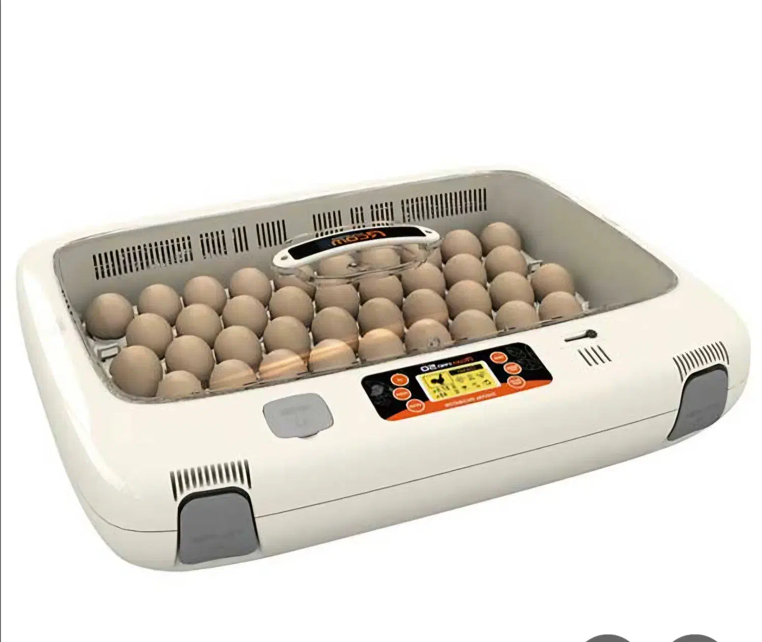 دستگاه جوجه کشی آرکام 50|لوازم جانبی حیوانات|رباطکریم, رباطکریم|دیوار