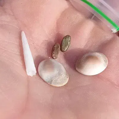 سنگ مهر|بدلیجات|بجنورد, |دیوار