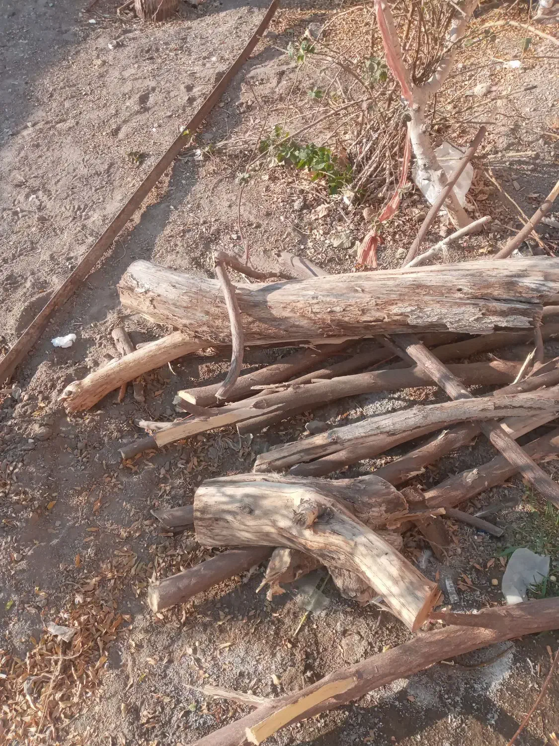 خرید چوب|خدمات باغبانی و درختکاری|گناباد, |دیوار