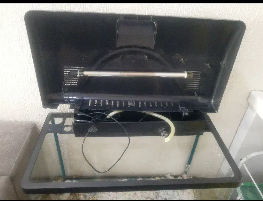 آکواریوم دلسا مخصوص آپارتمان|ماهی|شاهینشهر, شهرک گلدیس|دیوار