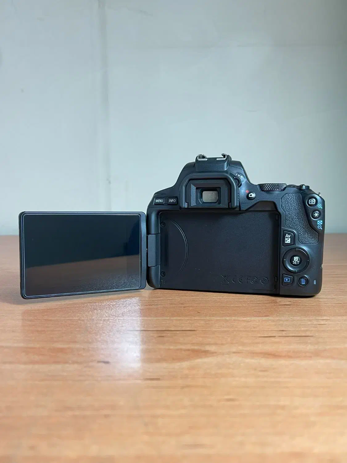 دوربینcanon 250d همراه با لوازم جانبی مورد نیاز|دوربین عکاسی و فیلمبرداری|تهران, میدان ولیعصر|دیوار