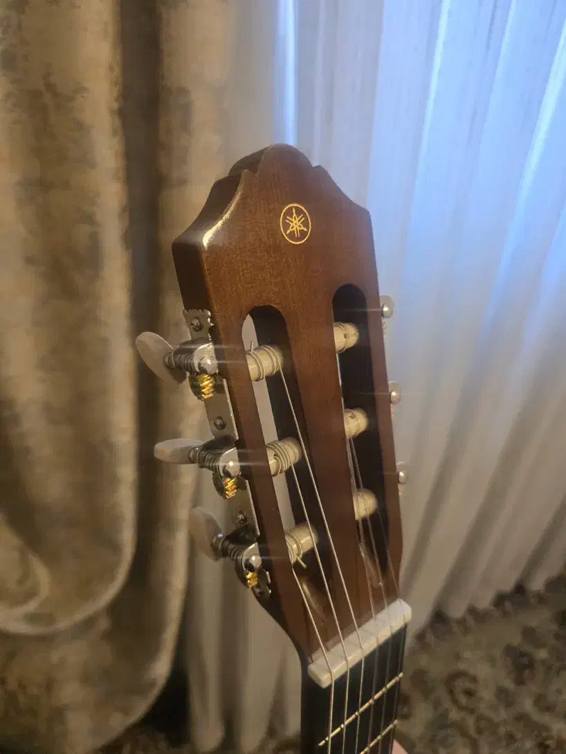 گیتار یاماها C40 اندونزی درحد نو|گیتار، بیس، امپلیفایر|کرج, فاز ۱ مهرشهر|دیوار