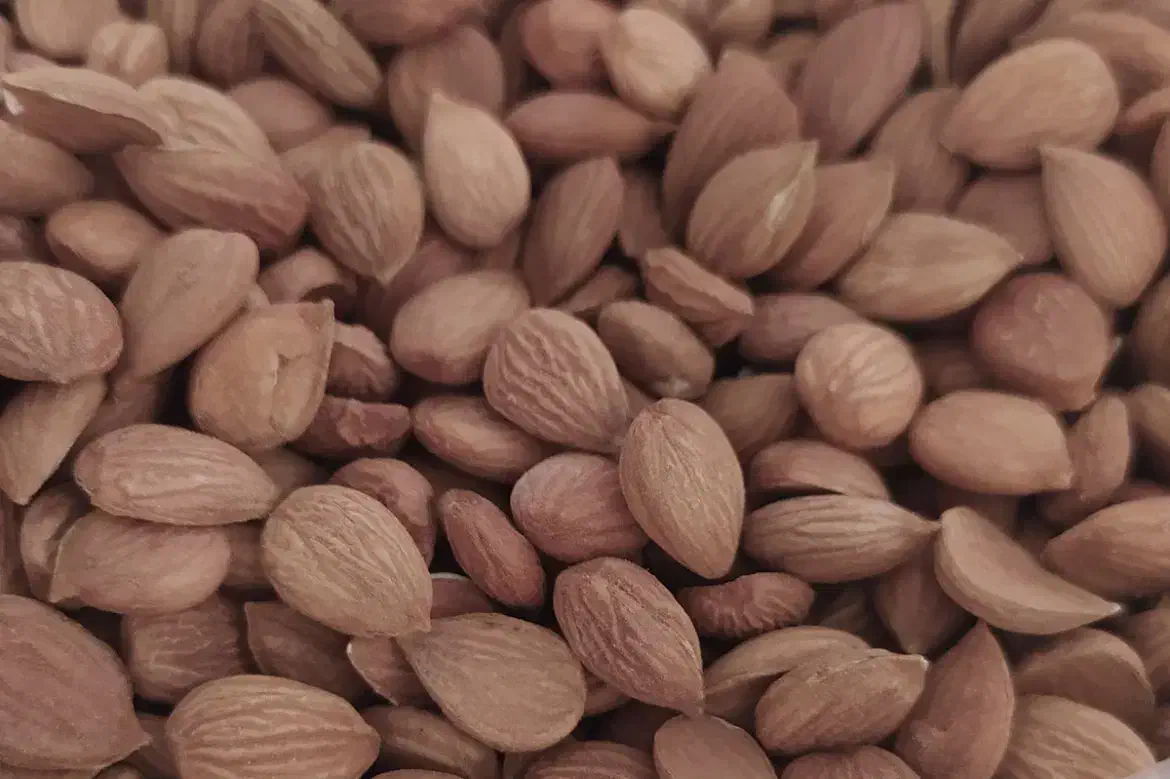 مغز هسته زرد آلو عمده|خوردنی و آشامیدنی|بناب, |دیوار