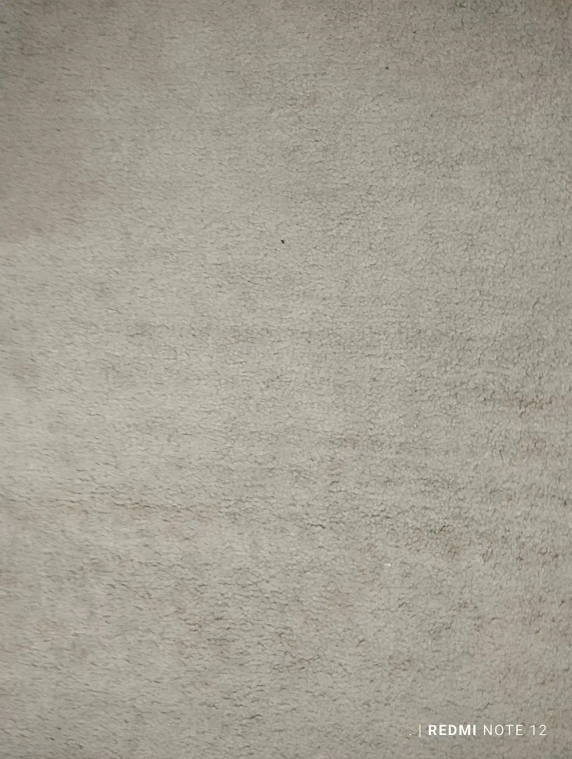 موکت پالاز|موکت|بروجرد, |دیوار