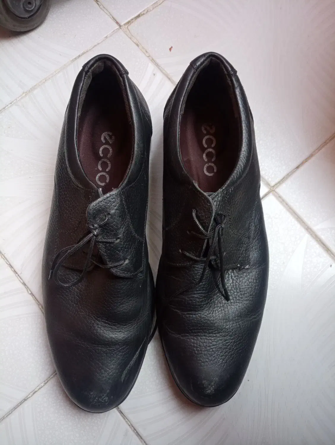 کفش مجلسی مردانه|کیف، کفش، کمربند|بیرجند, |دیوار