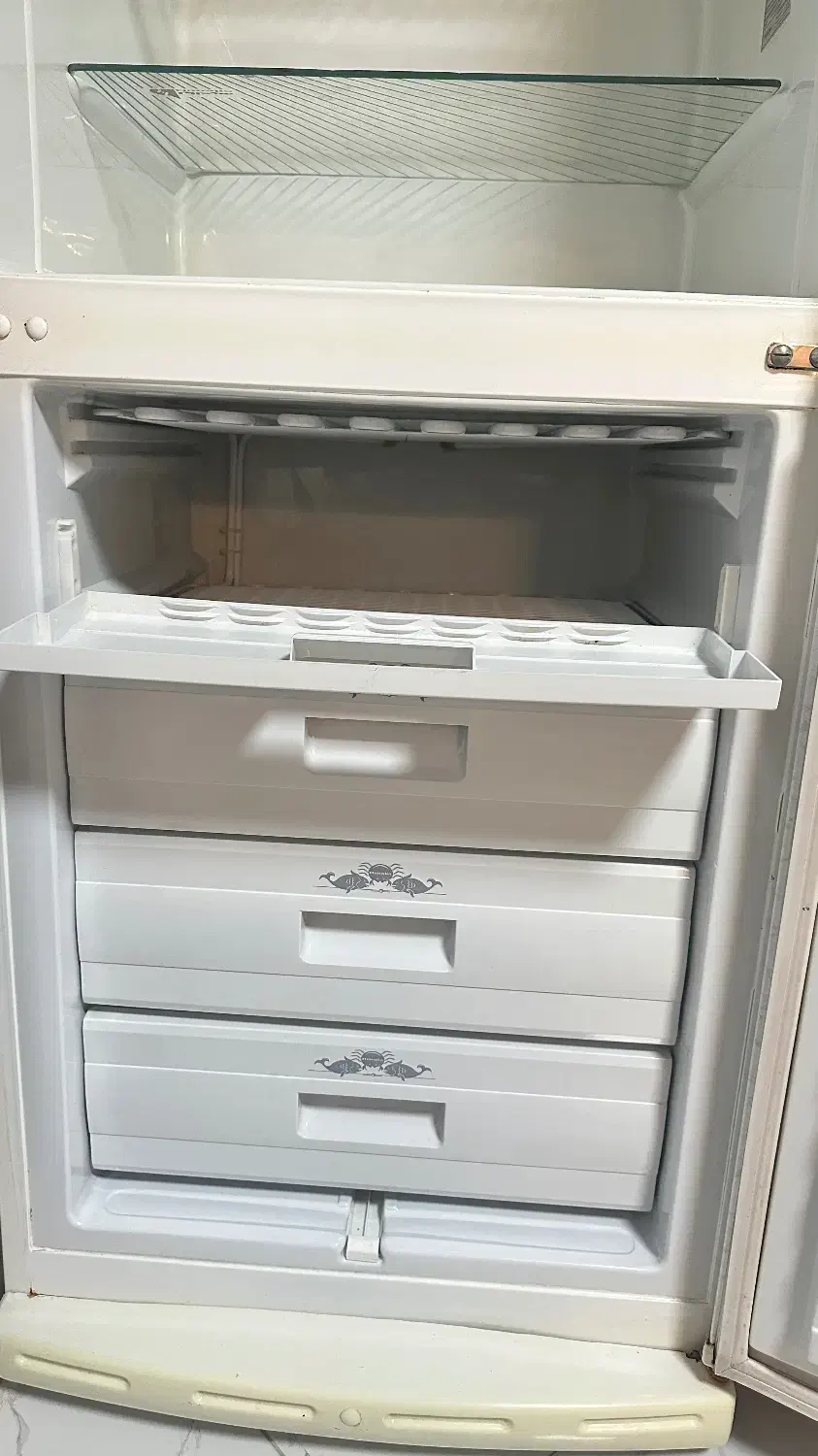 یخچال و فریزر هیمالیا|یخچال و فریزر|چمستان, |دیوار