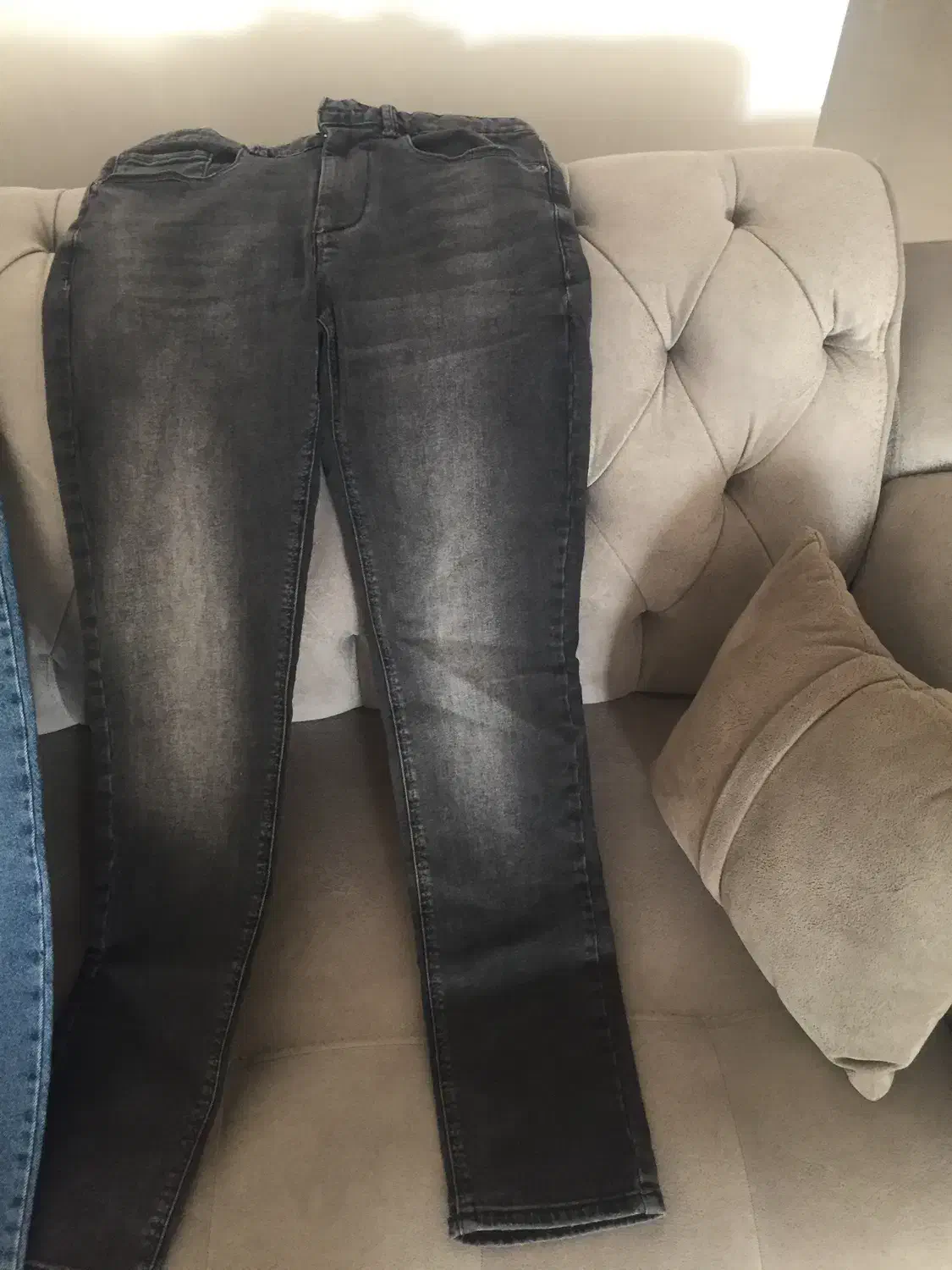 شلوار لی نو|لباس|گرگان, |دیوار