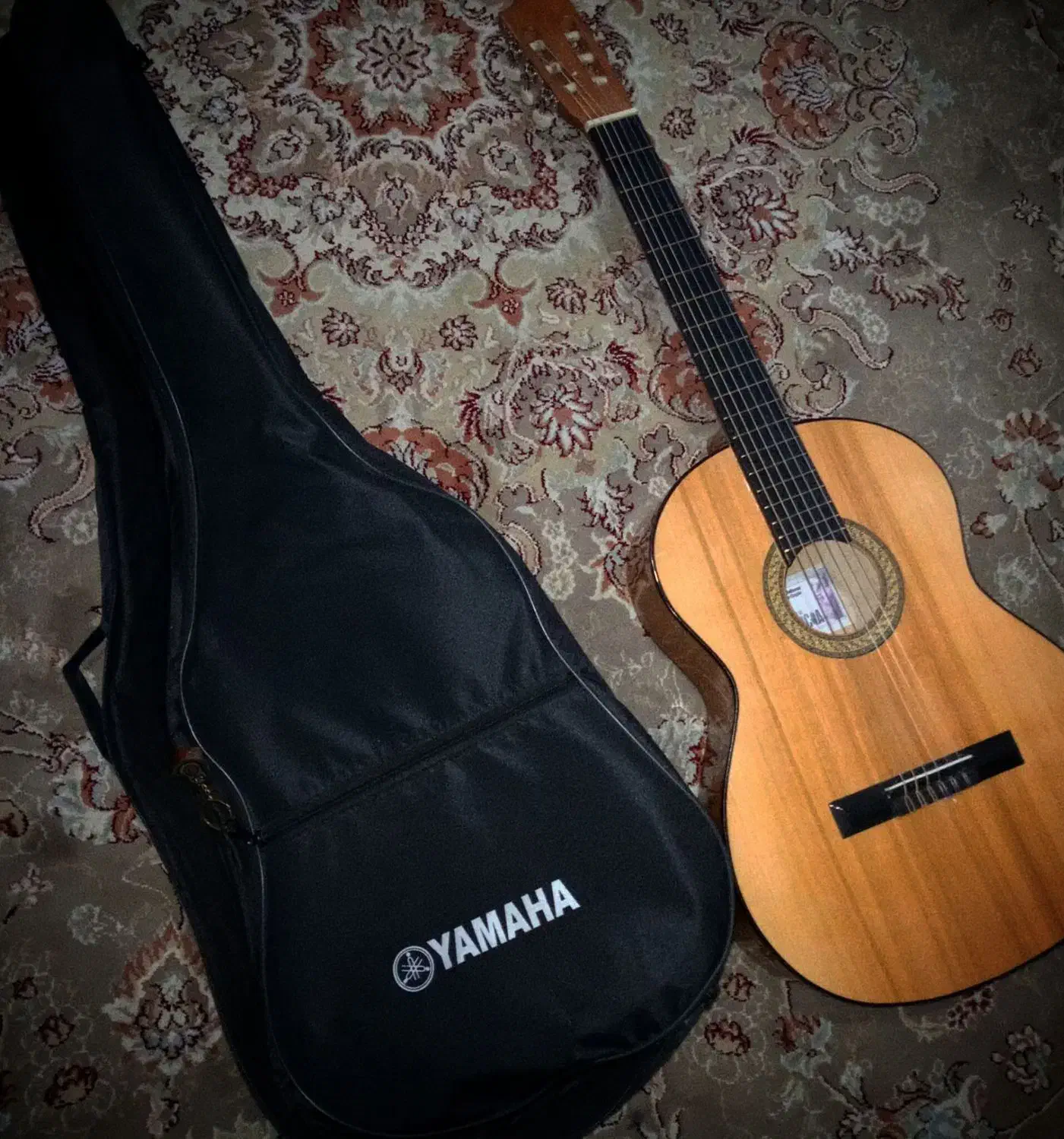 گیتار.ایرانی.لوکا.نو|گیتار، بیس، امپلیفایر|گلبهار, شهر جدید گلبهار|دیوار