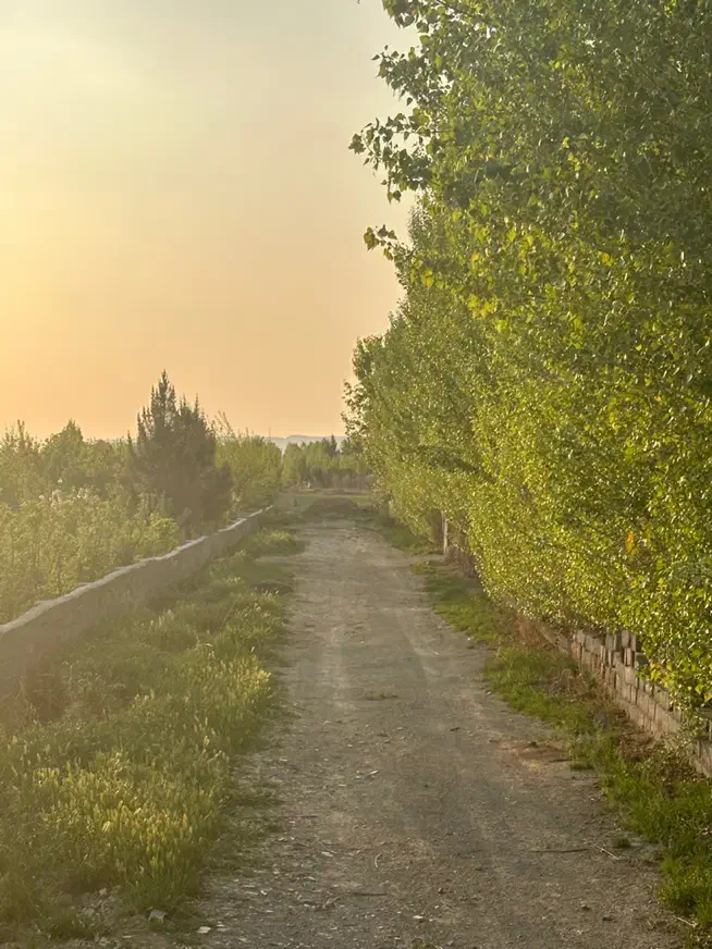 فروش زمین طرح آتیه/اقساط ویژه حقوق بگیران/ماهدشت|فروش زمین و ملک کلنگی|کرج, فاز ۵ مهرشهر|دیوار