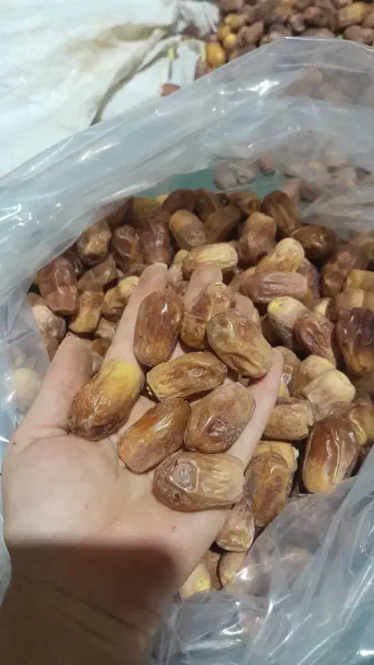 قصب درجه یک درشت قیمت توافقی|خوردنی و آشامیدنی|افزر, |دیوار