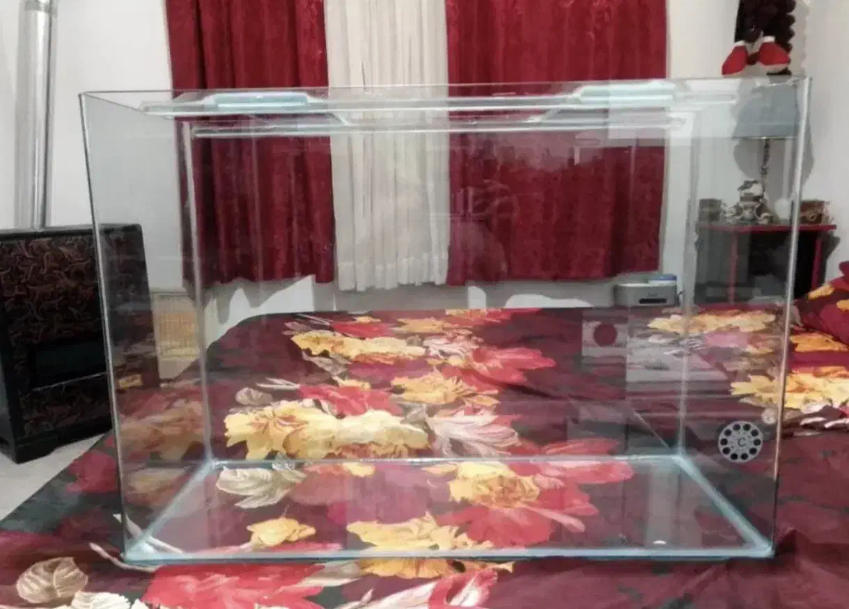 اکواریوم ۱۲۰ لیتری شیشه خم|ماهی|نوشهر, |دیوار