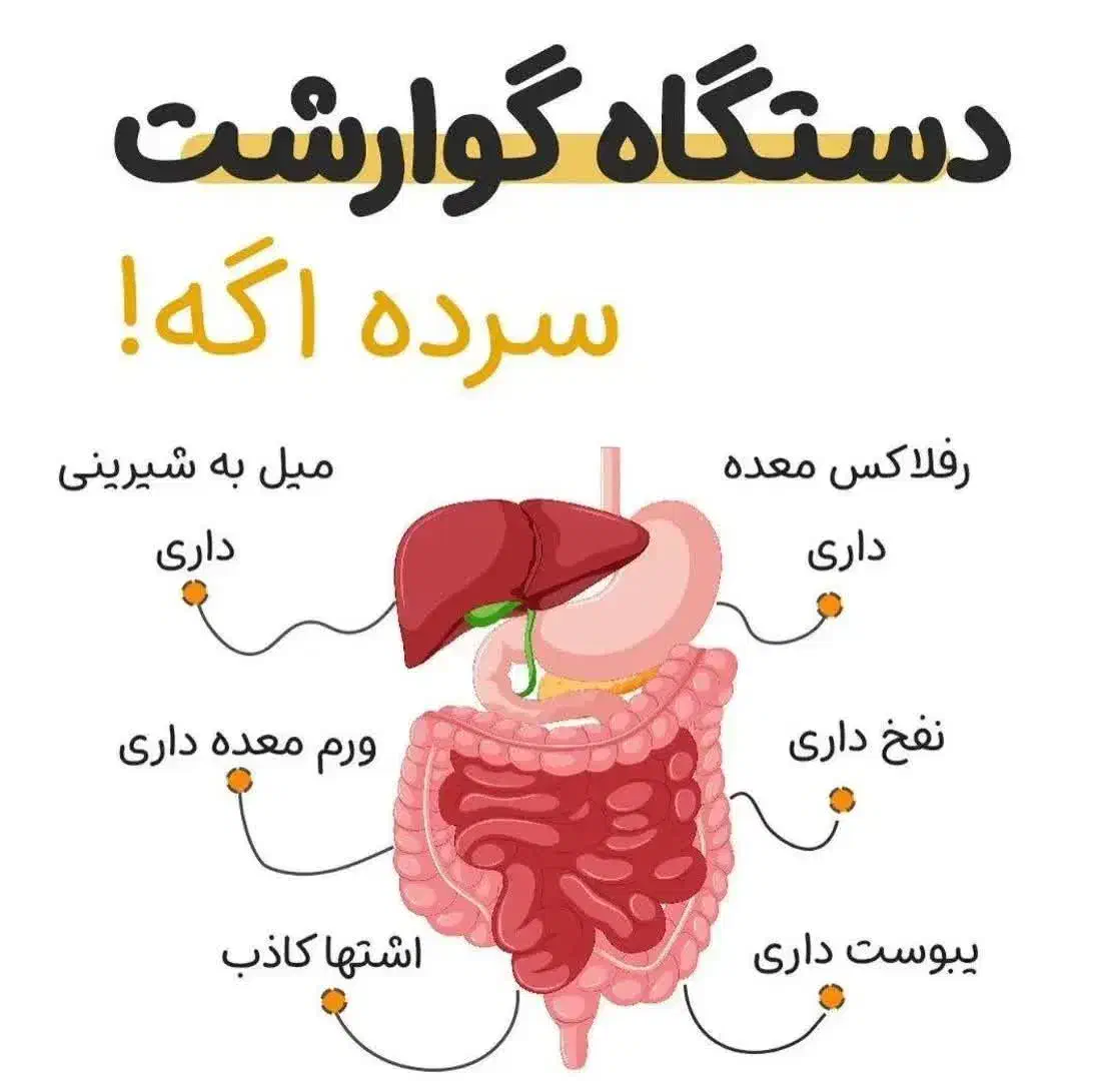 دمنوش رفع یبوست|آرایشی، بهداشتی، درمانی|سنندج, |دیوار