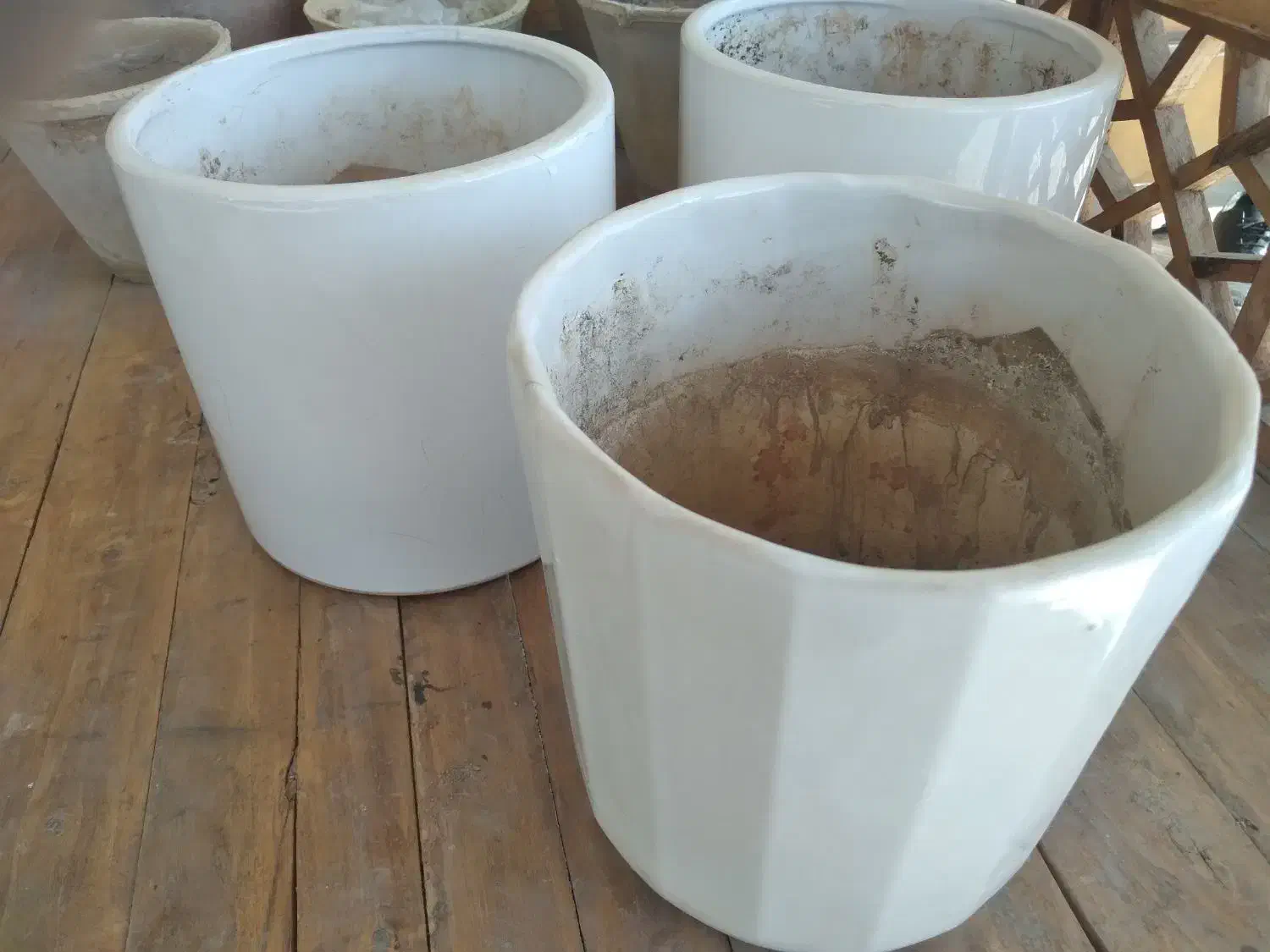 گلدون و پایه گلدون|گل و گیاه طبیعی|بندر ماهشهر, |دیوار