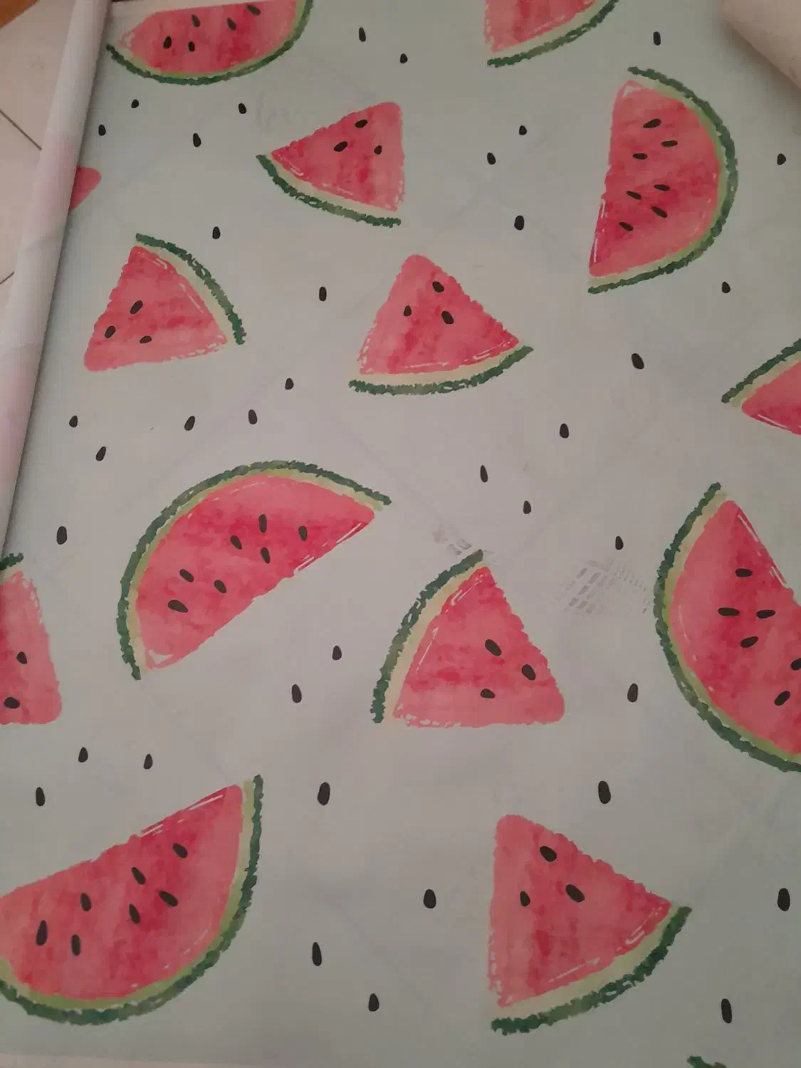 بک دراپ هندونه|دوربین عکاسی و فیلمبرداری|باغستان, |دیوار