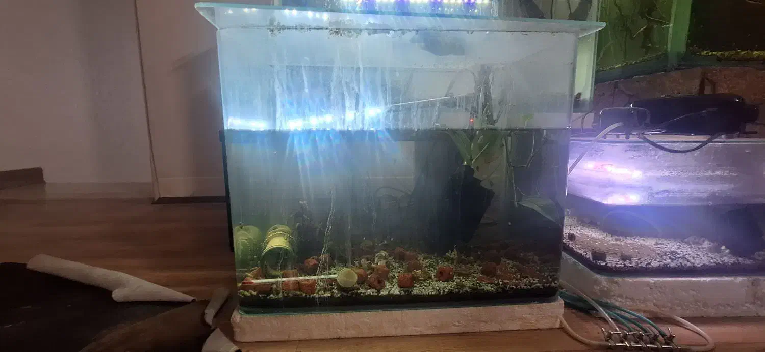 سه عدد اکواریوم|ماهی|اصفهان, کوی سپاهان|دیوار