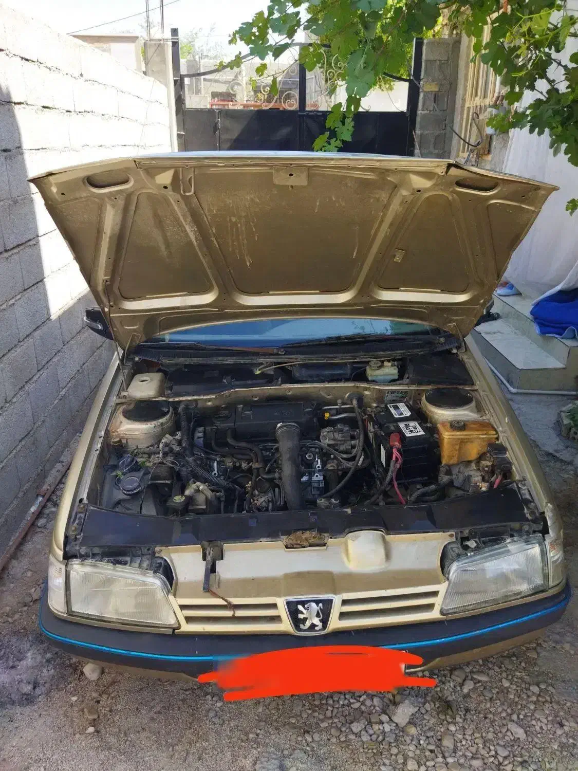 پژو۴۰۵ مدل ۸۴|خودرو سواری و وانت|بوشهر, |دیوار