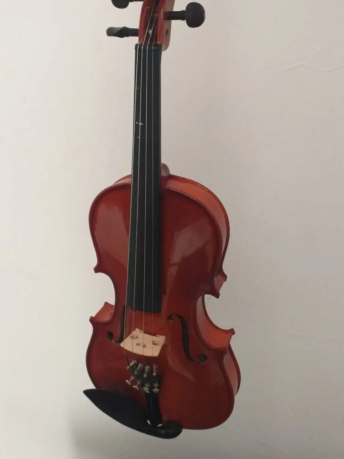 ویولن|ویولن|سنندج, |دیوار