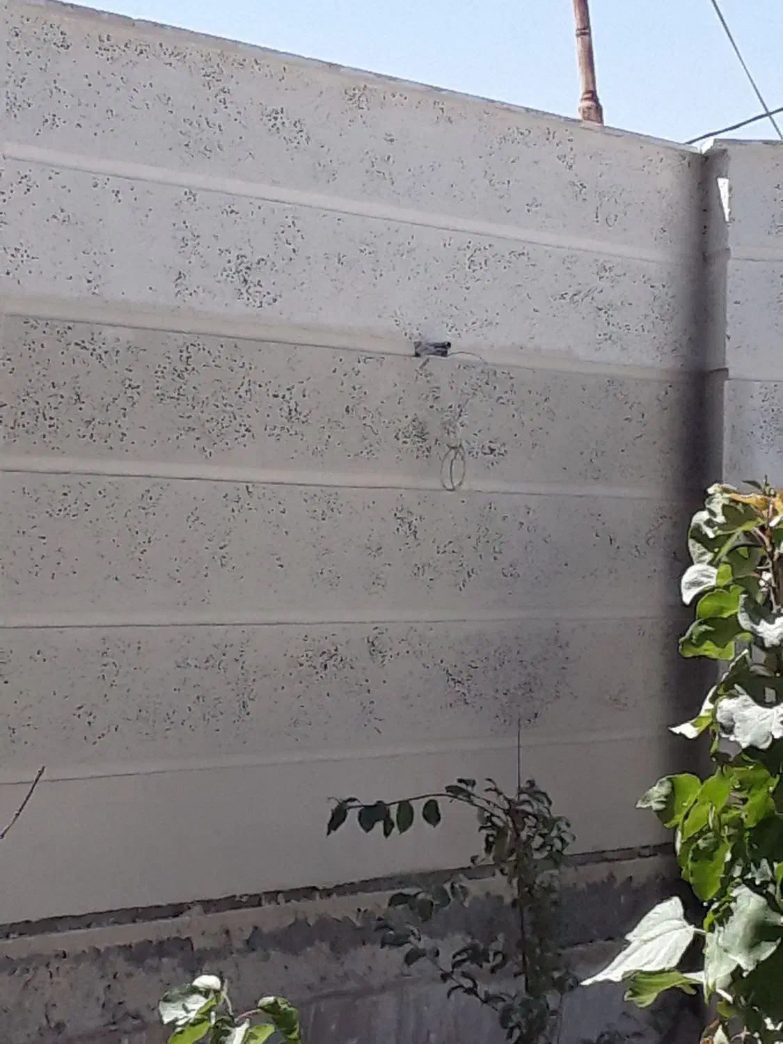 ابزار رومی|خدمات پیشه و مهارت|آستارا, |دیوار