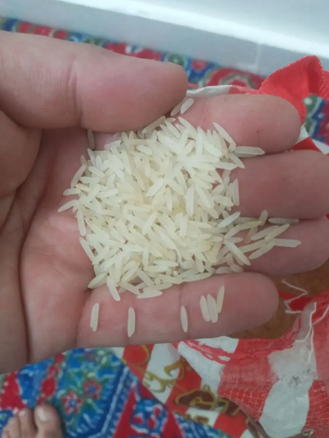 برنج هندی|خوردنی و آشامیدنی|نیشابور, چمبران|دیوار