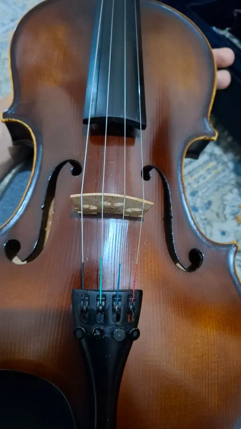 ویولن rt130|ویولن|تهران, استخر|دیوار