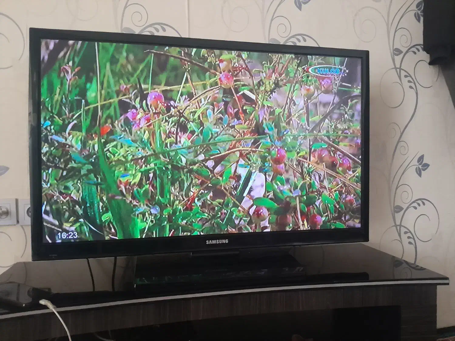 ۱۵۰۰۰۰۰۰|تلویزیون و پروژکتور|فشاپویه, |دیوار