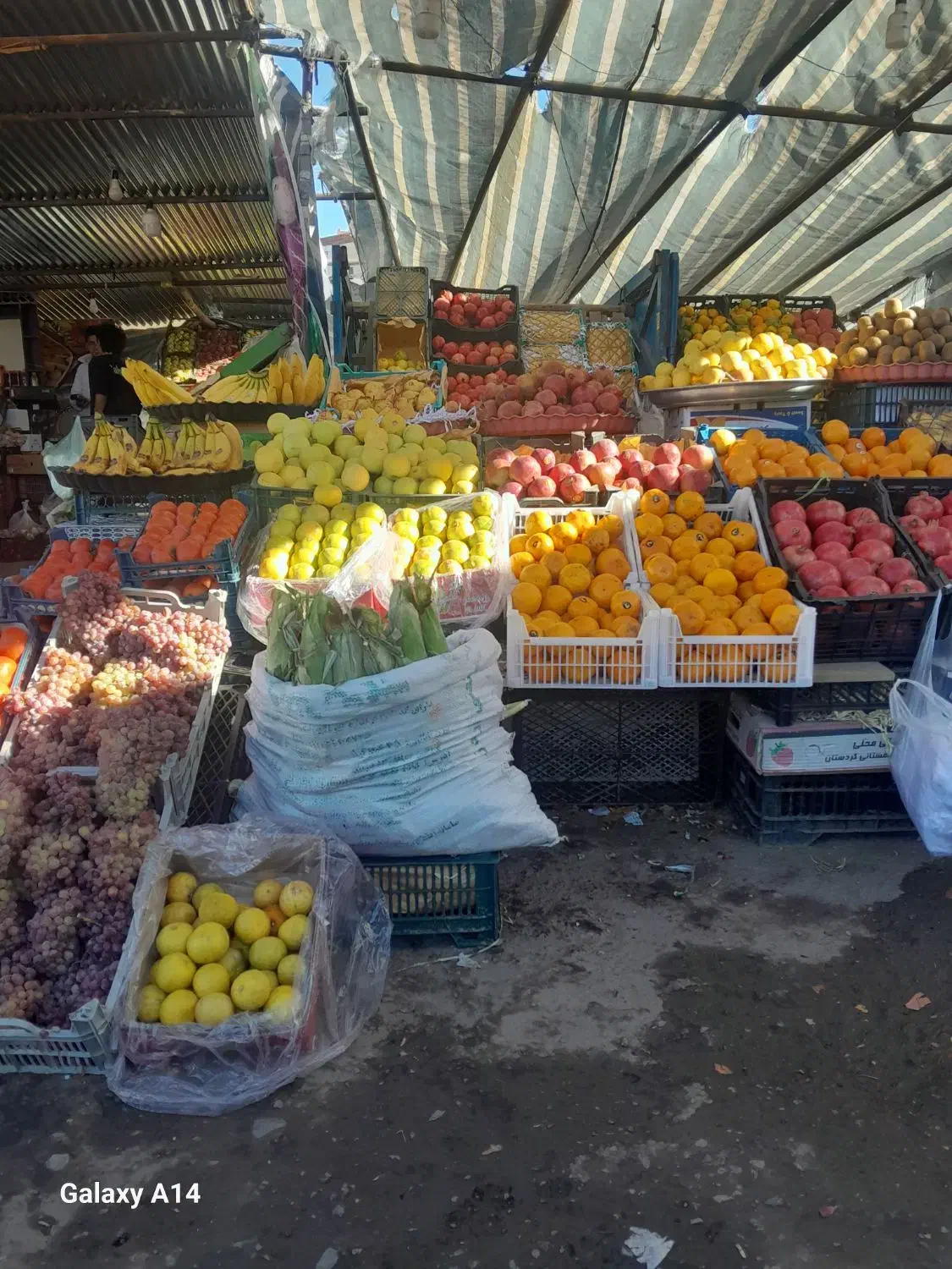 کار در میوه فروشی|استخدام بازاریابی و فروش|قروه, |دیوار