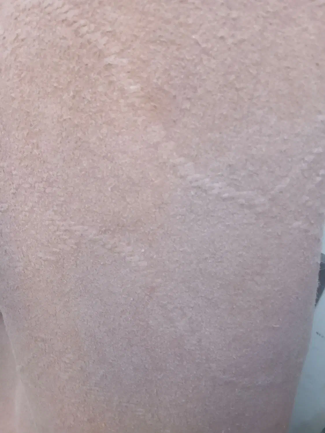 موکت طرح داروساده ویک عددفرش کناره قرمز|موکت|ملایر, |دیوار