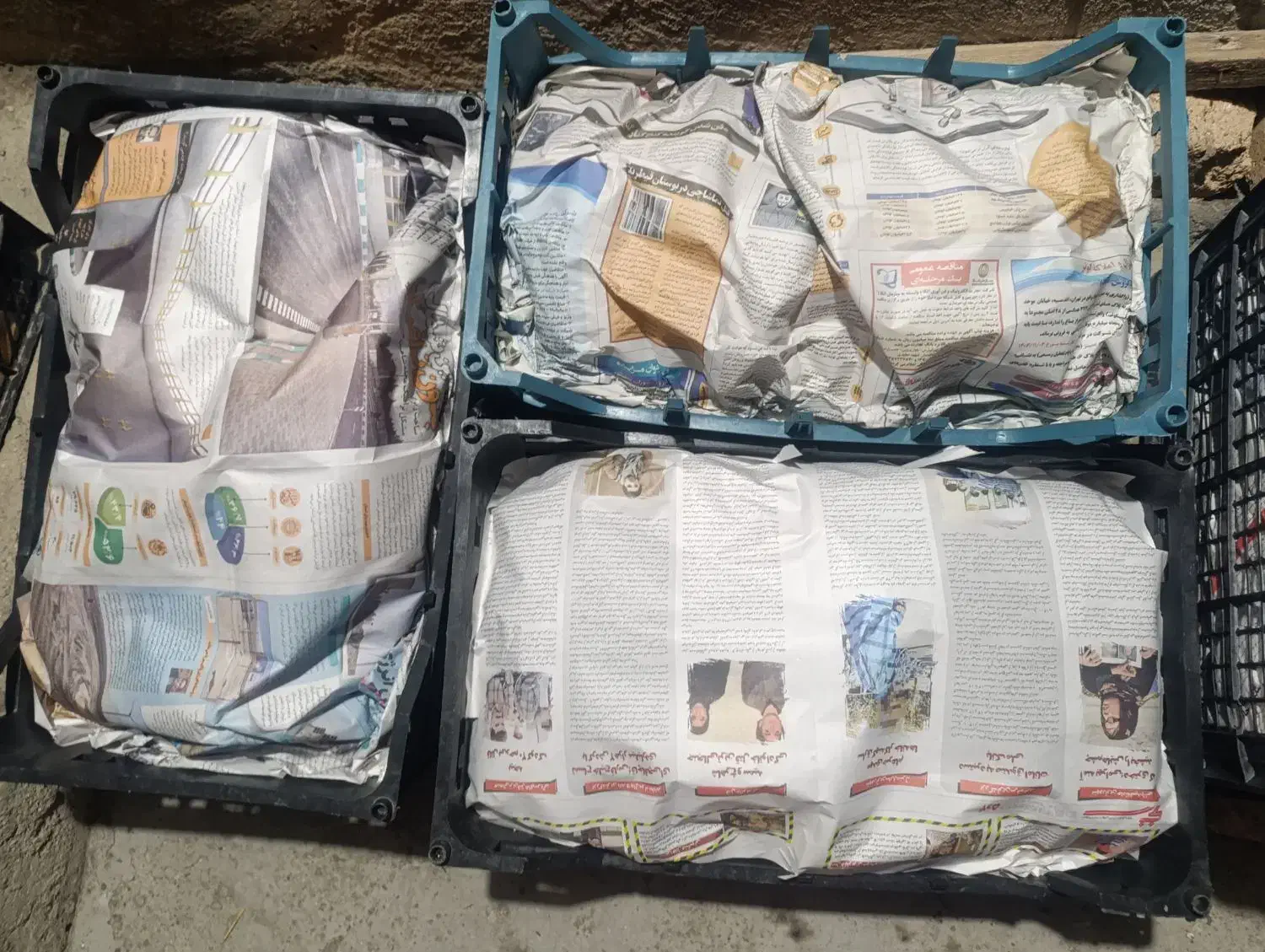 قارچ دکمه ای درجه یک|خوردنی و آشامیدنی|چگنی, |دیوار