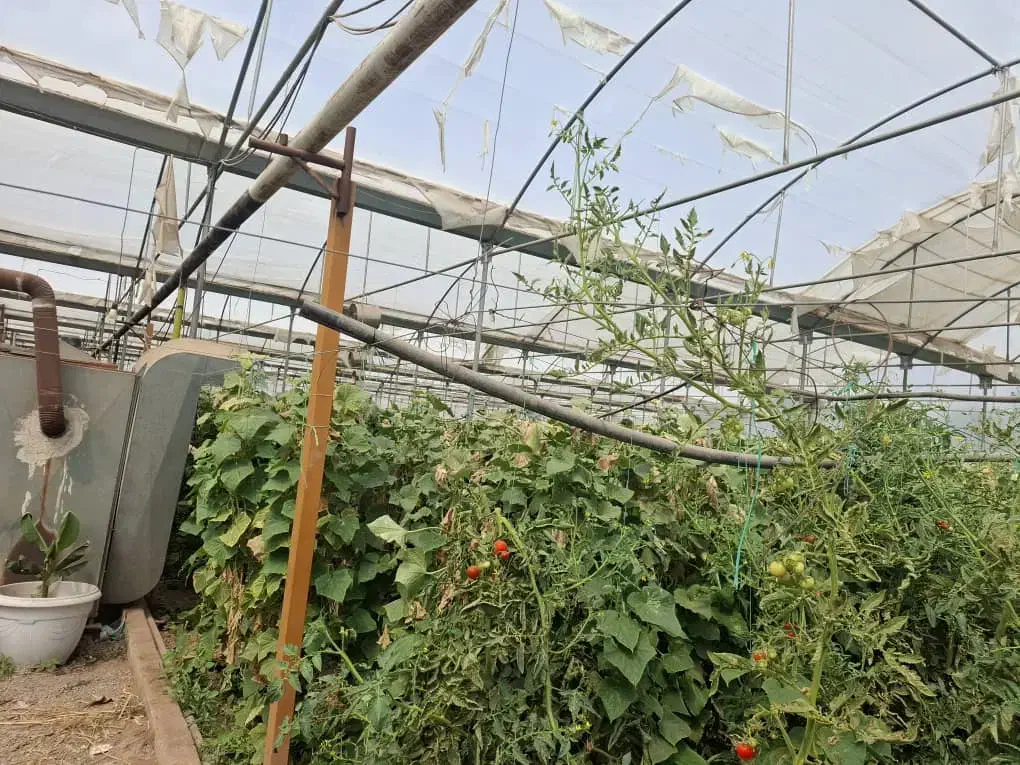 سازه گلخانه|مصالح و تجهیزات ساختمان|مرند, |دیوار