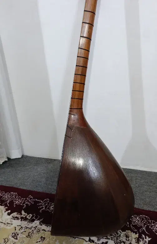 ساز(آذری) گوپوز|سازهای سنتی|تبریز, |دیوار