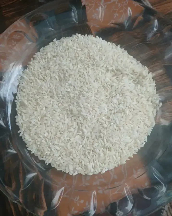 فروش برنج چمپا|خوردنی و آشامیدنی|لردگان, |دیوار