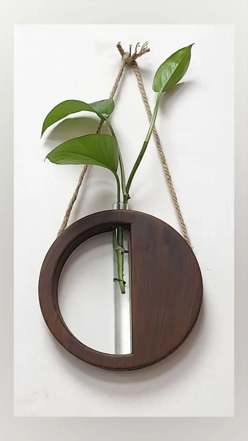 گلدان|گل و گیاه طبیعی|قرچک, زیبا شهر|دیوار