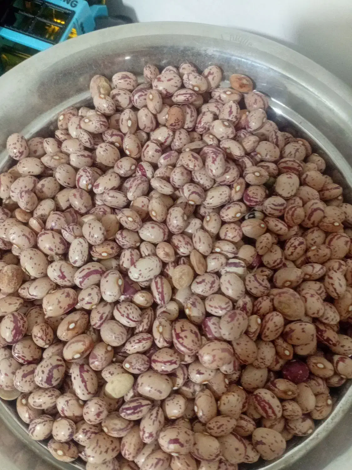 باسلام حبوبات قیمت مناسب|خوردنی و آشامیدنی|اسلامشهر, شهرک لاله|دیوار