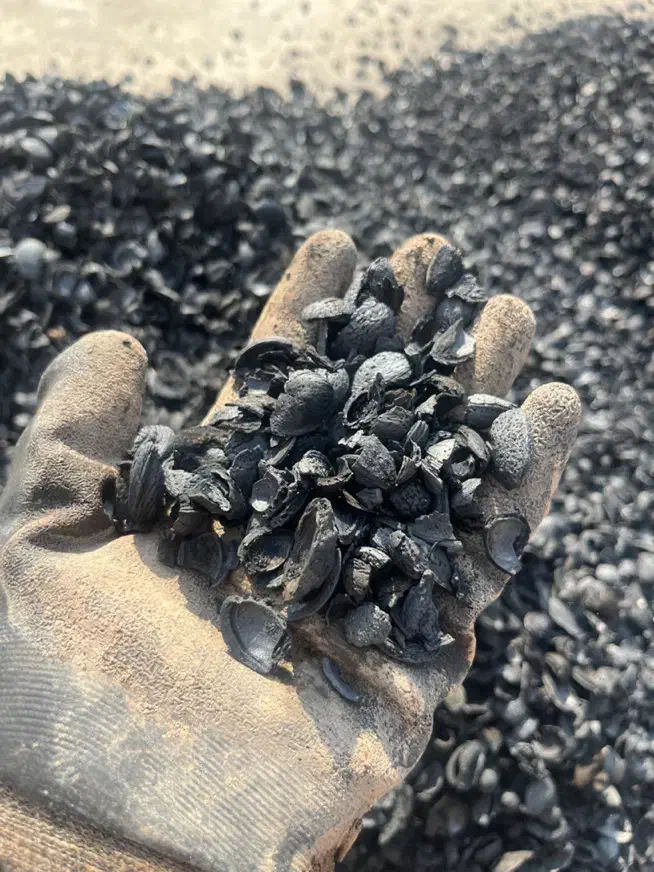 کارگر ساده یا استاد کار جهت کارگاه زغال|استخدام صنعتی، فنی، مهندسی|پاکدشت, پاکدشت (مامازند)|دیوار