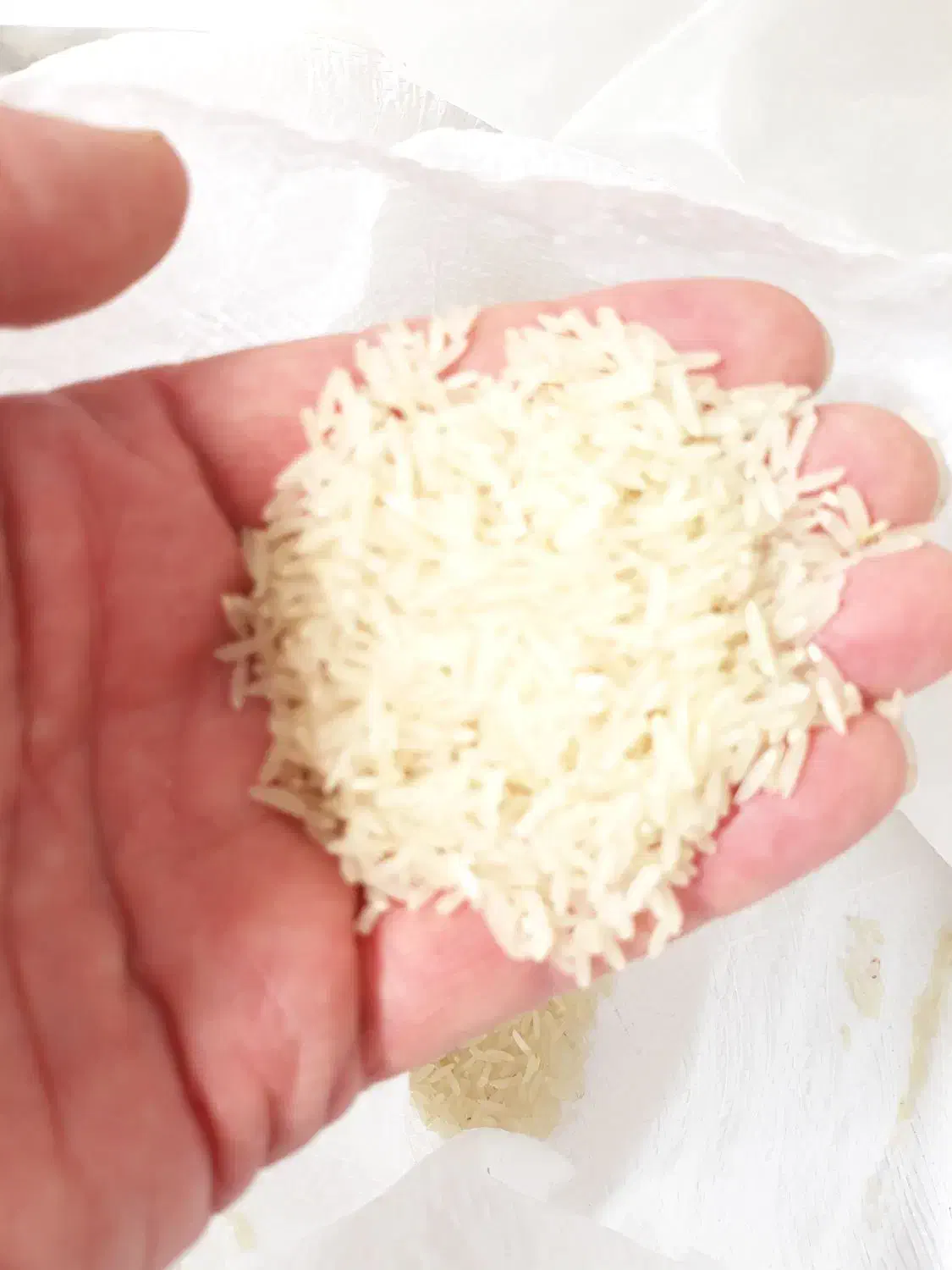 فروش برنج فجر سوزنی شبنم دیده|خوردنی و آشامیدنی|کردکوی, |دیوار