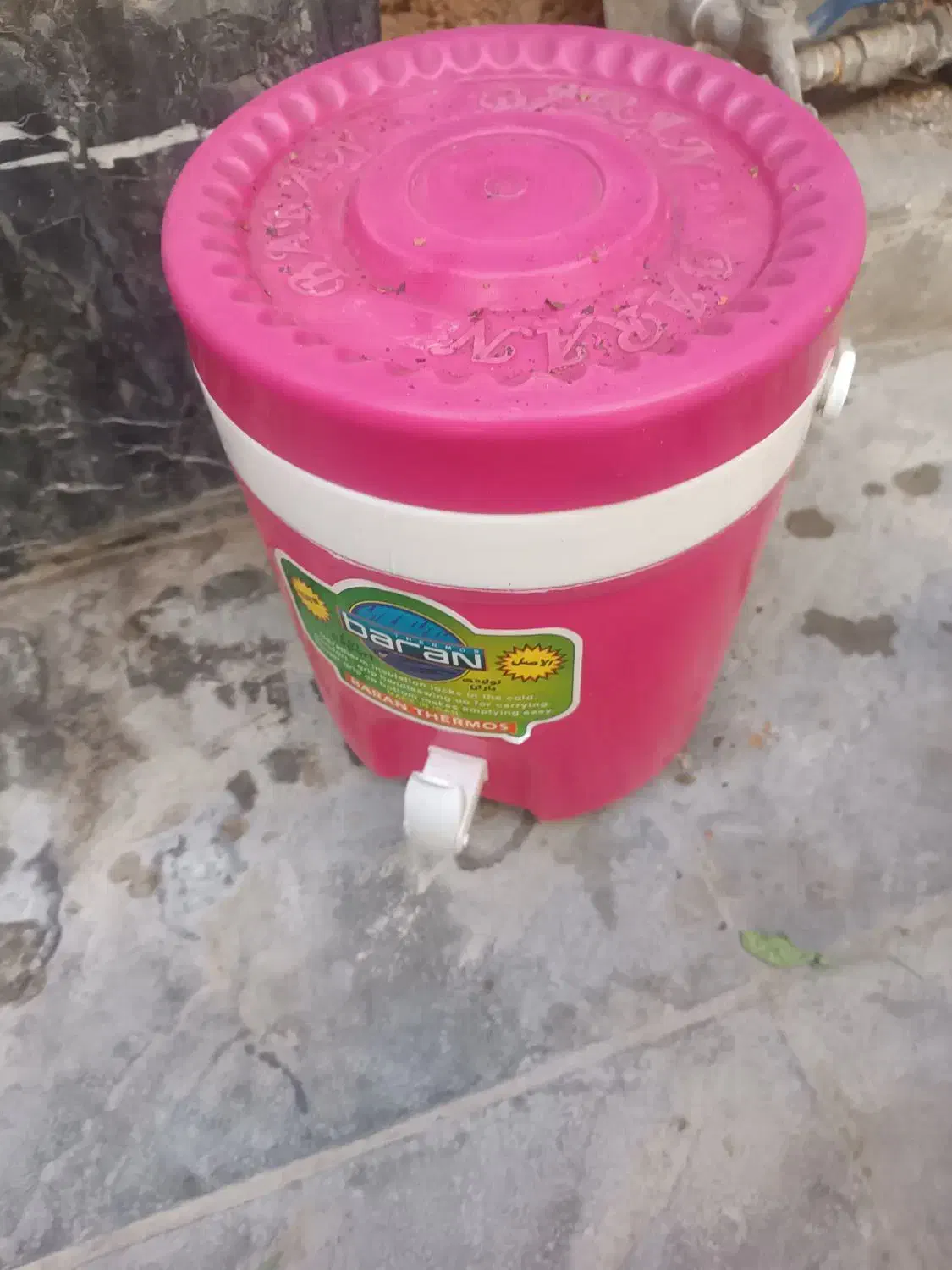 سبدپیک نیک|ظروف نگهدارنده، پلاستیکی، یک‌بارمصرف|شیراز, پودنک|دیوار